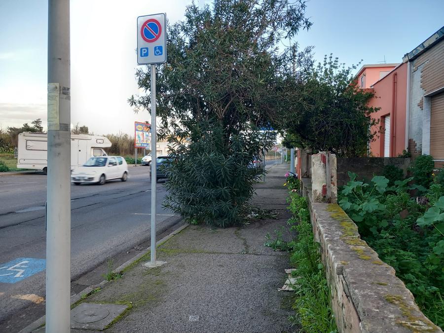 
	Erbacce nei marciapiedi, non &egrave; la eccezione ma la norma

