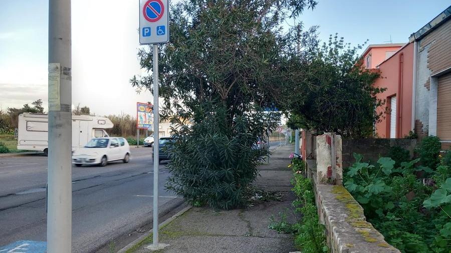 Erbacce nei marciapiedi, non è la eccezione ma la norma