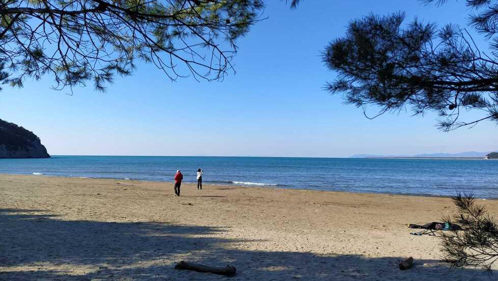 Cala di Forno, spiaggia incontaminata e acque cristalline: il grande spettacolo incanta i primi turisti dopo 4 anni  – Video