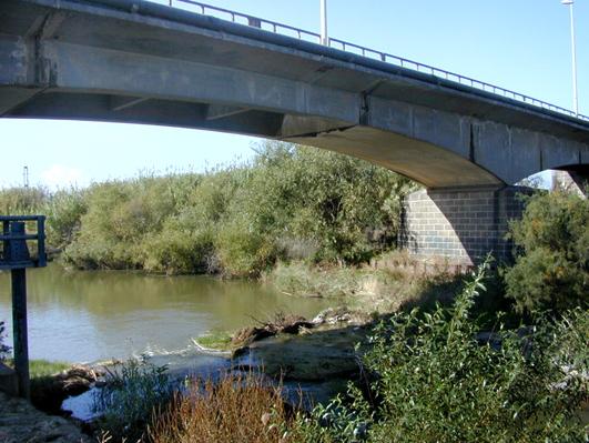 
	Uno scorcio sul fiume Tirso, immagine di repertorio

