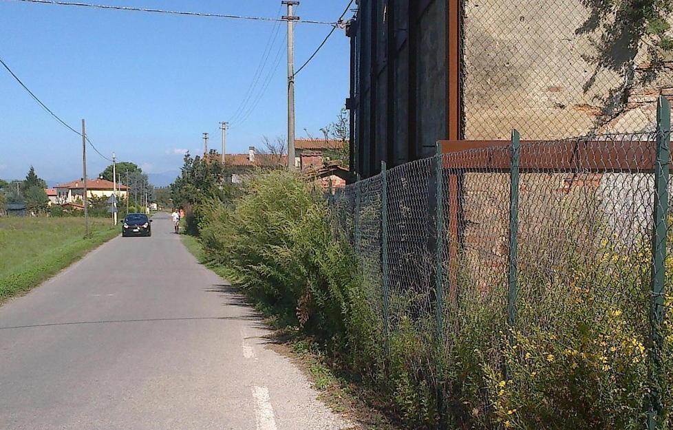 Erba alta in una proprietà dell’Asl 