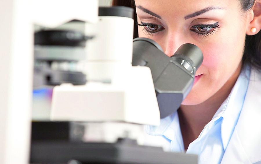L’offerta formativa allarga i suoi orizzonti tra solide realtà, innovazione e creatività