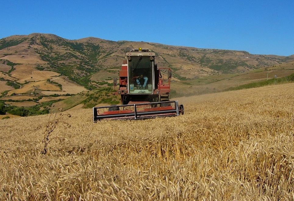 Regione, 23milioni per l’agricoltura: risorse anche per i grandi eventi 