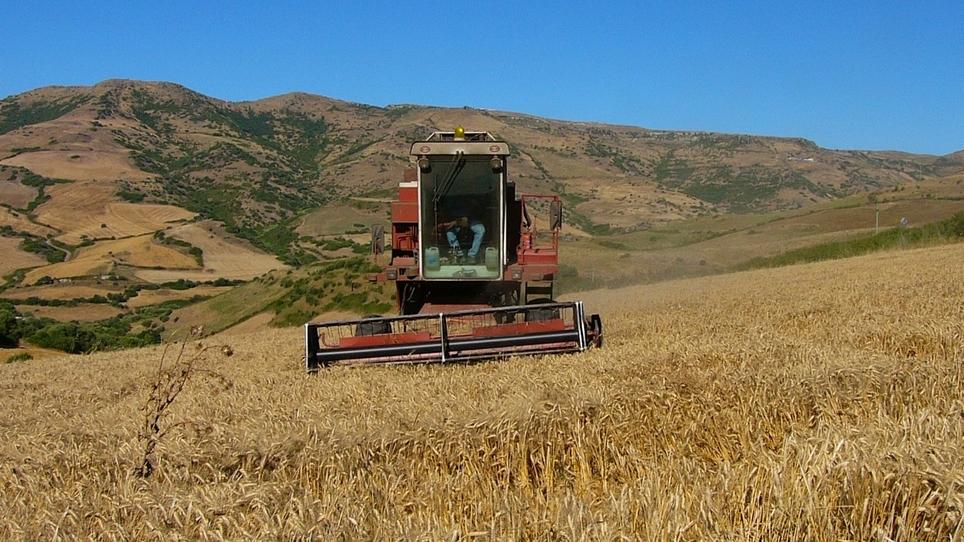 Regione, 23milioni per l’agricoltura: risorse anche per i grandi eventi
