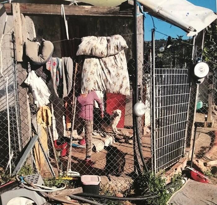 Olbia, sgombero del canile a Muddizza piana