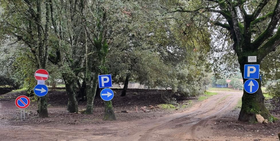 Nuoro, segnaletica selvaggia: cartelli affissi su lecci secolari con chiodi e fil di ferro
