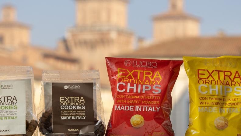 Patatine e biscotti di insetti, la rivoluzione arriva a Ferrara