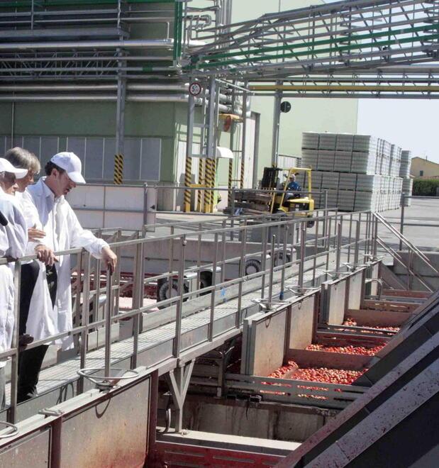 Dodici Morelli. Conserve Italia si è aggiudicata lo stabilimento ex Cavicchi 