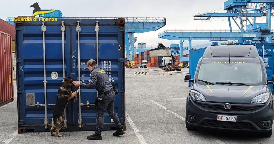 
	Un finanziere mentre ispeziona un container&nbsp;

