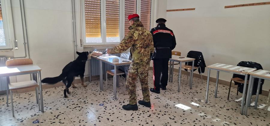 
	I controlli antidroga dei carabinieri nelle scuole di Macomer

