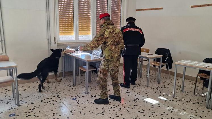 
	I controlli antidroga dei carabinieri nelle scuole di Macomer

