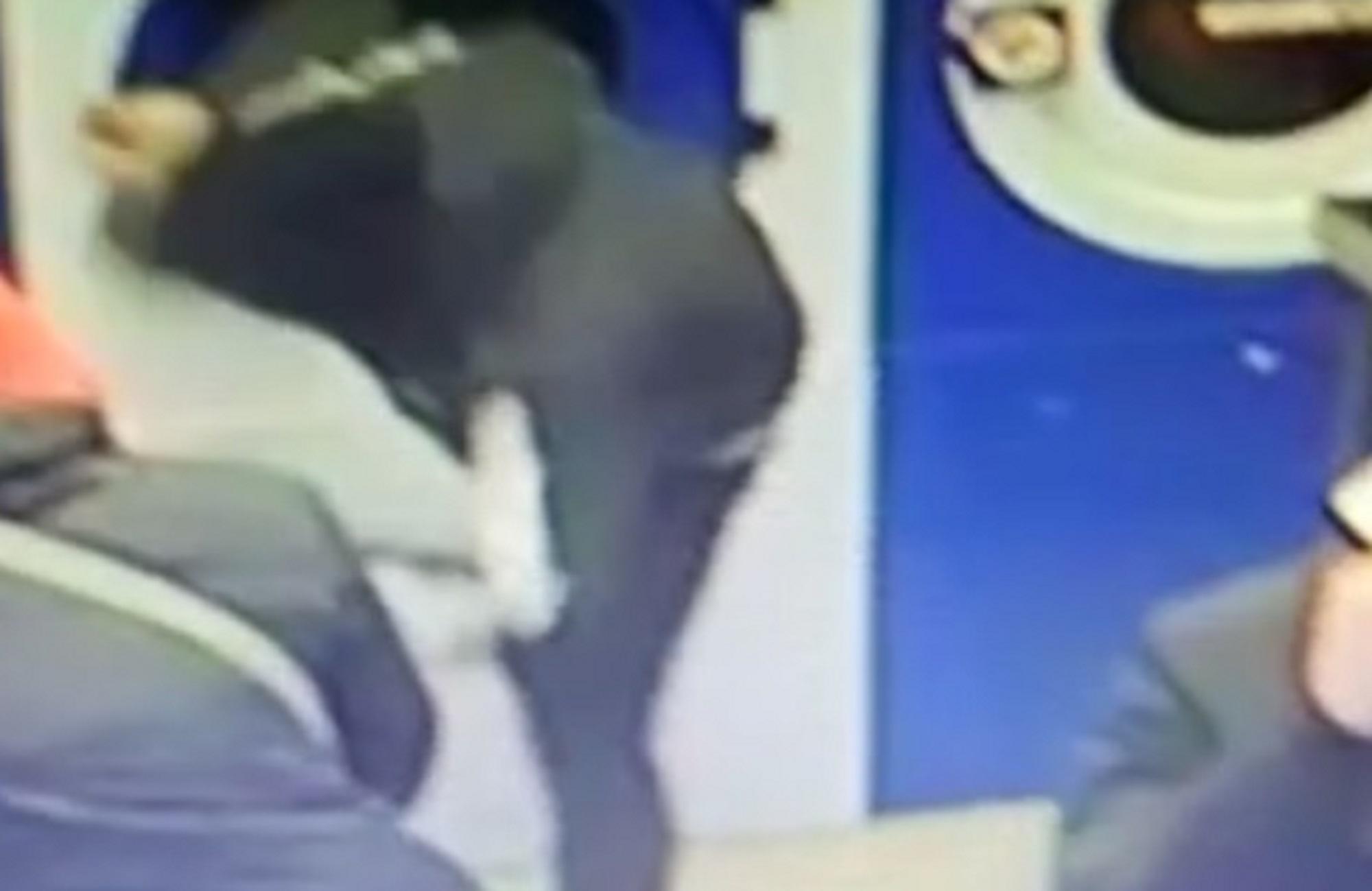 Mangiano nella lavanderia automatica e prendono a calci le lavatrici