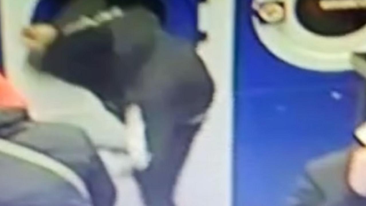 Mangiano nella lavanderia automatica e prendono a calci le lavatrici