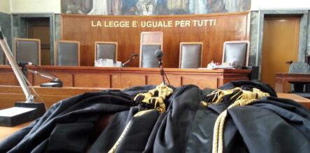 Truffe su internet e soldi spariti: accusato un 43enne di Buggiano. Le testimonianze: «Quel gatto bengalese non è mai arrivato...»