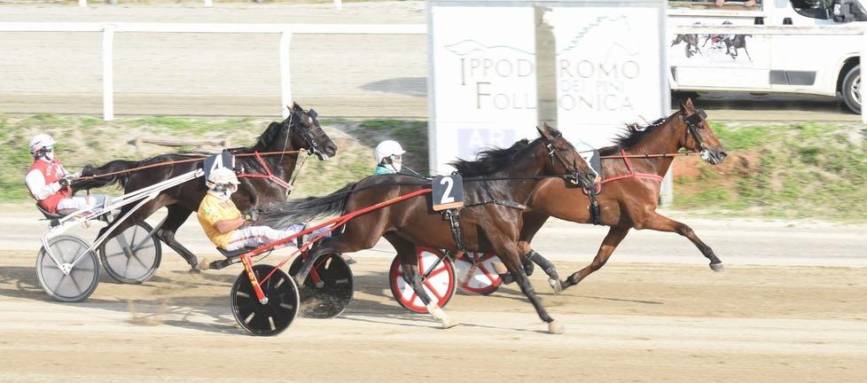 Follonica, riapre l’ippodromo e la Sistema Cavallo “sbarca” anche a Treviso