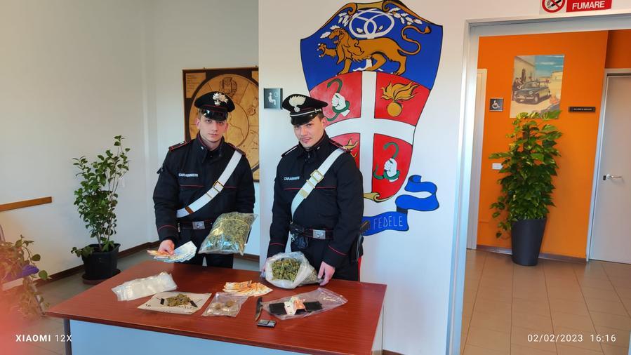 Campegine, giovane di 25 anni arrestato per spaccio di marijuana