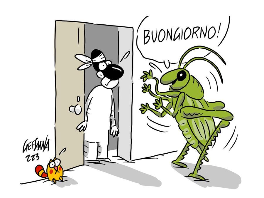 La vignetta di Gef: emergenza cavallette, l’allarme di Coldiretti