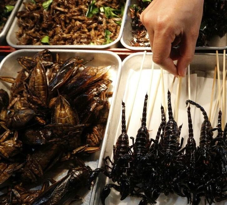 Insetti ed etichette, Confartigianato: l'Ue è contro le dop sarde