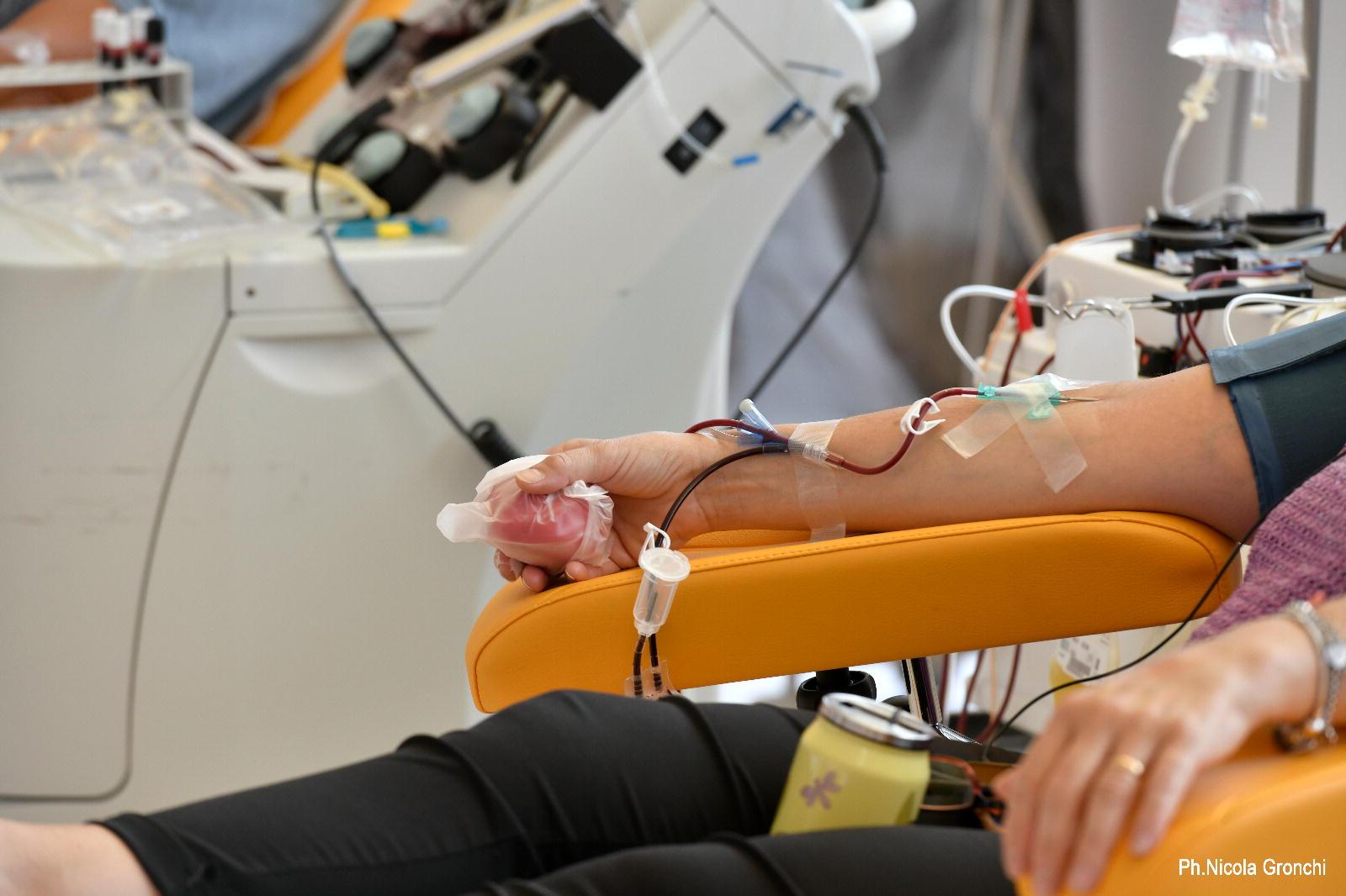 Sangue, la Maremma dona di più (rispetto al resto della Toscana)