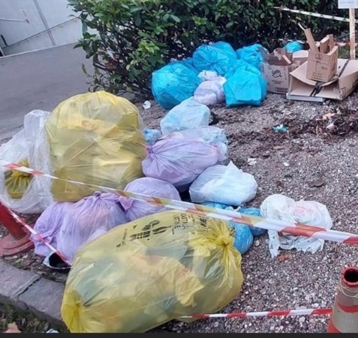 <font _msthash="55" _mstmutation="1" _msttexthash="5053568">Modena Volta Pagina e la nuova raccolta differenziata: «Il nuovo porta-a-porta così non va» </font>