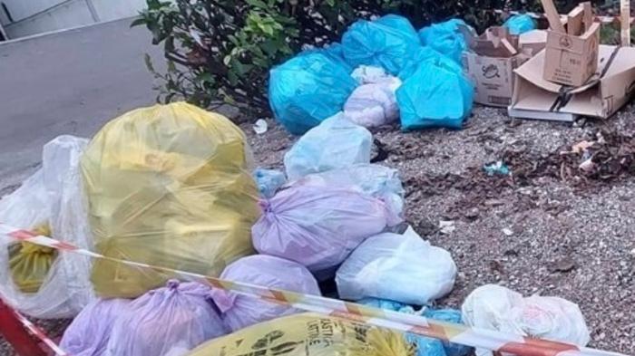 <font _msthash="55" _mstmutation="1" _msttexthash="5053568">Modena Volta Pagina e la nuova raccolta differenziata: «Il nuovo porta-a-porta così non va» </font>