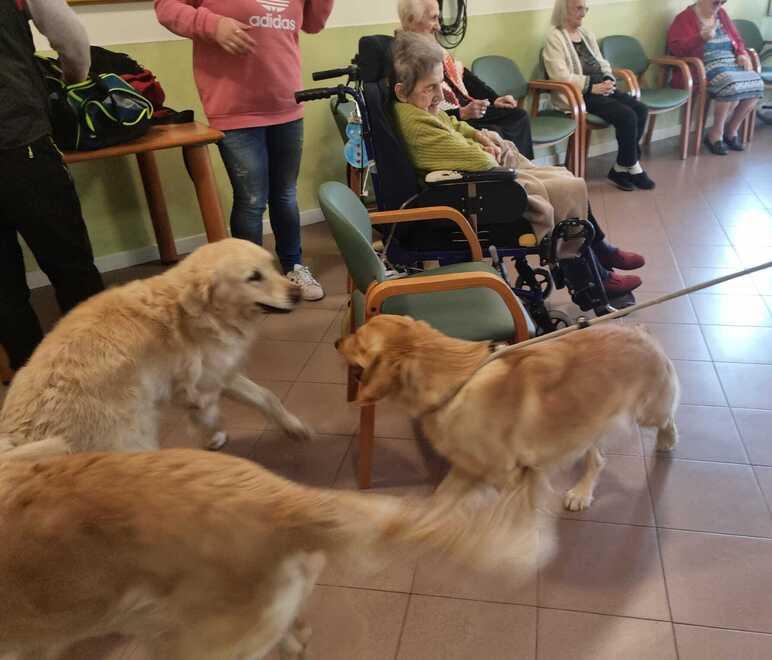 Carpi. I cani portano il sorriso agli anziani in casa di riposo 