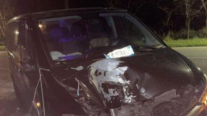 Mesola, testacoda: feriti dieci giovani sul “taxi disco”