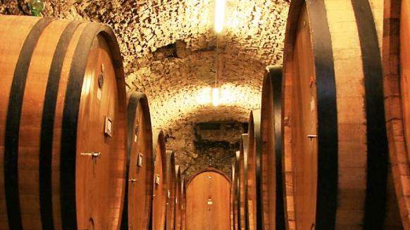 Andar per cantine in Valpolicella