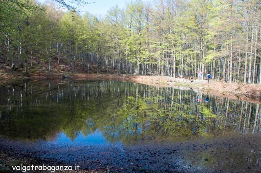 Escursione tra sorgenti, laghi e torbiere