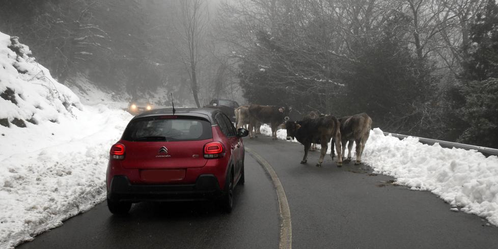 Ancora gelo sulla Sardegna:&nbsp;neve dai 500 metri e piogge sul settore orientale&nbsp;