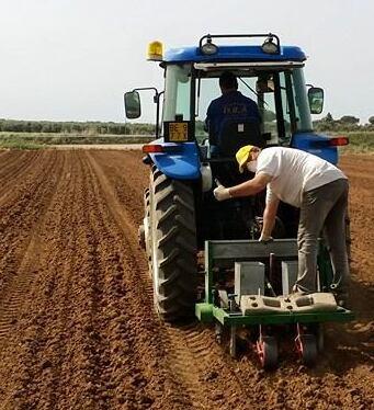 Il problema siccità. Anche l’agricoltura deve ripensarsi «Ragionare su colture e sistemi» 