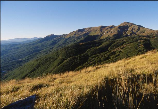 Con i crediti di sostenibilità il Parco nazionale dell’Appennino dà valore ai suoi boschi