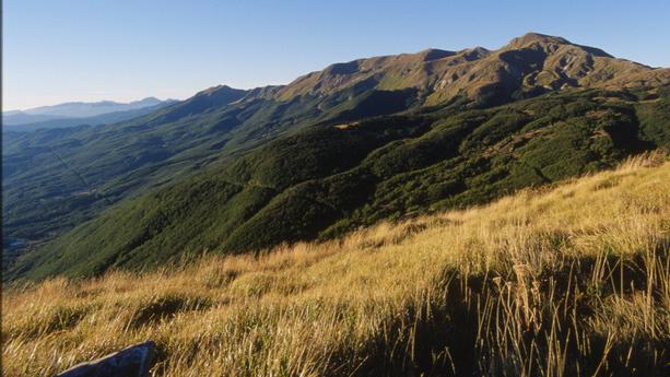 Con i crediti di sostenibilità il Parco nazionale dell’Appennino dà valore ai suoi boschi