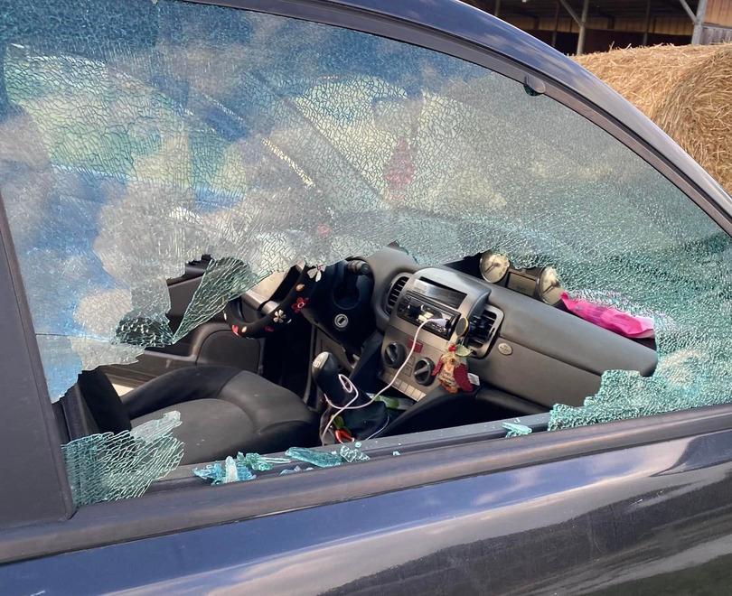 Formigine. Va a cavallo, le spaccano il finestrino Rubata la borsa con soldi e carte 