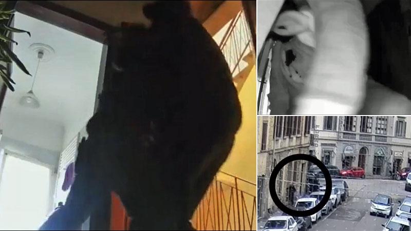 I frame delle immagini diffuse dalla polizia sull’agguato subito da una donna alle Cure
