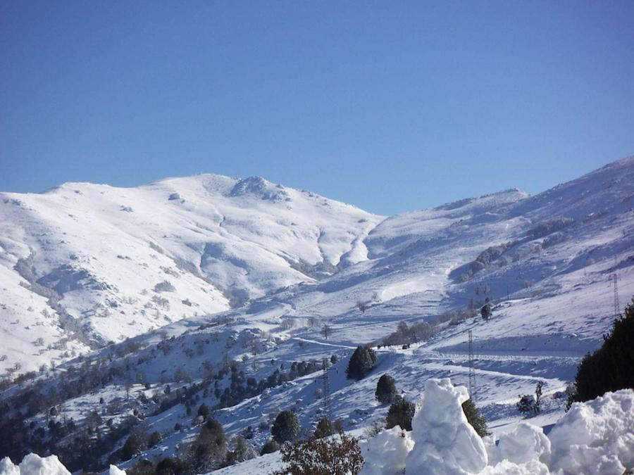 
	Neve sul Gennargentu

