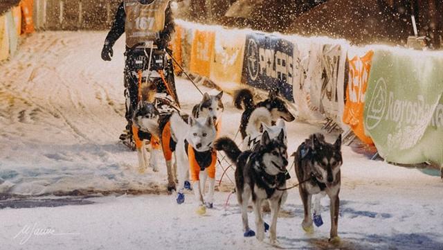 Frassinoro. Luca ha vinto la sua sfida più grande: 450 chilometri tra le nevi di Norvegia: «Con gli husky ho coronato un sogno»