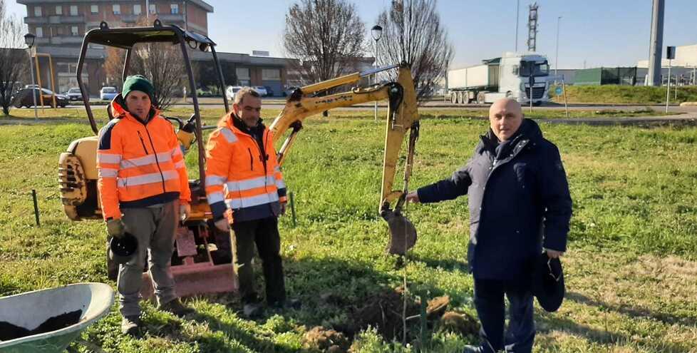 Sassuolo. Trecento nuove piante nel parco degli Eco Alberi 