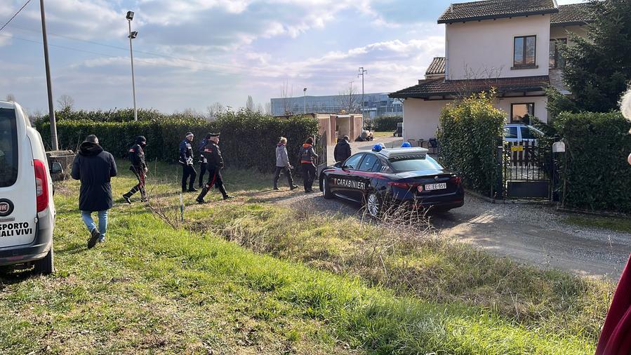 Ferrara, sbranata dai cani: donna ferita