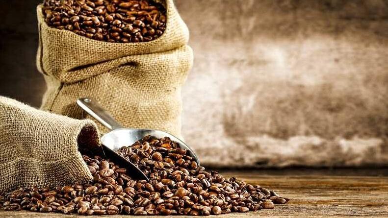 Dall’India al Brasile, in Toscana il giro del mondo in una tazzina di caffè: le torrefazioni al top