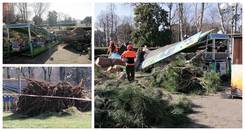 Firenze, crolla un pino sulla giostra alle Cascine – Foto