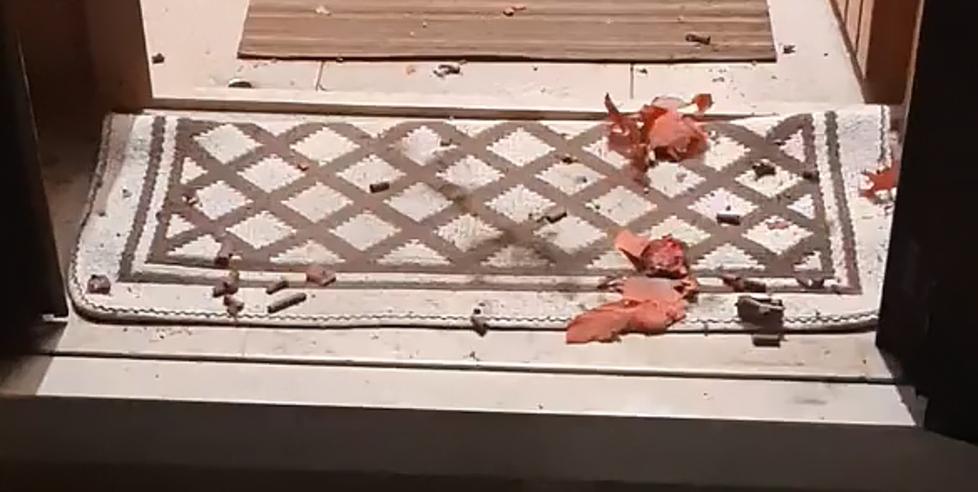 Comacchio, gettano un petardo in una casa: «Mia mamma si è sentita male»