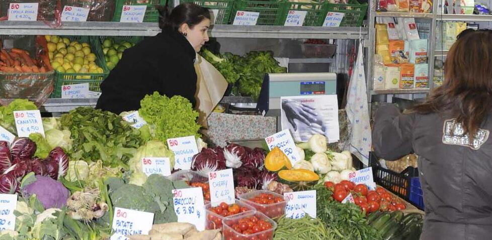 Modena Commercio al dettaglio in netto calo Nel 2022 chiuse 838 attività nel Modenese 