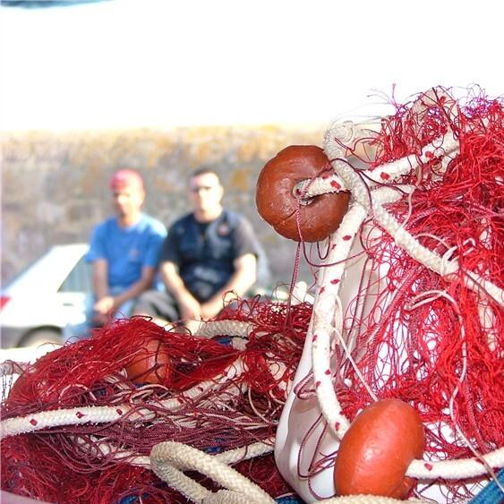 «Un pesce a tavola», la campagna di Laore per educare alle buone abitudini alimentari