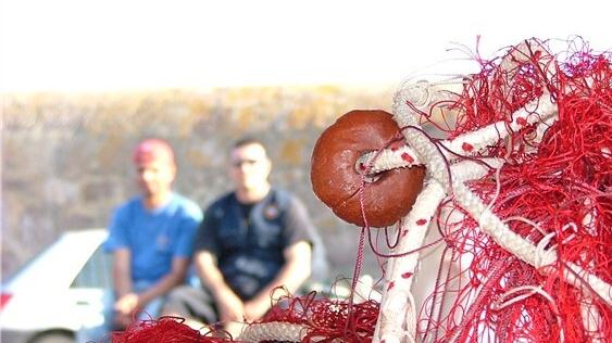 «Un pesce a tavola», la campagna di Laore per educare alle buone abitudini alimentari