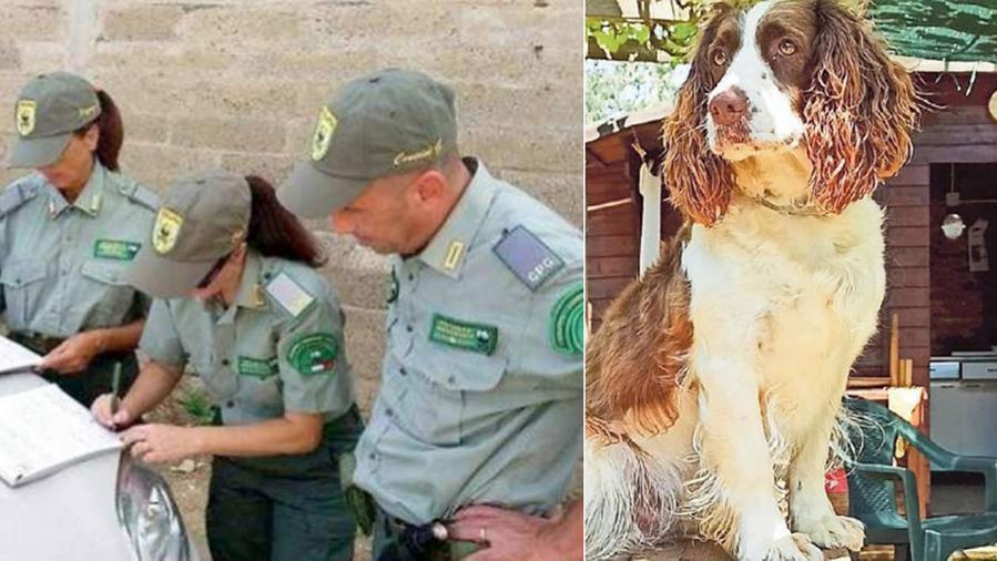 Uomini che odiano i cani: a Piombino è allarme killer. La Procura di Livorno apre un’inchiesta