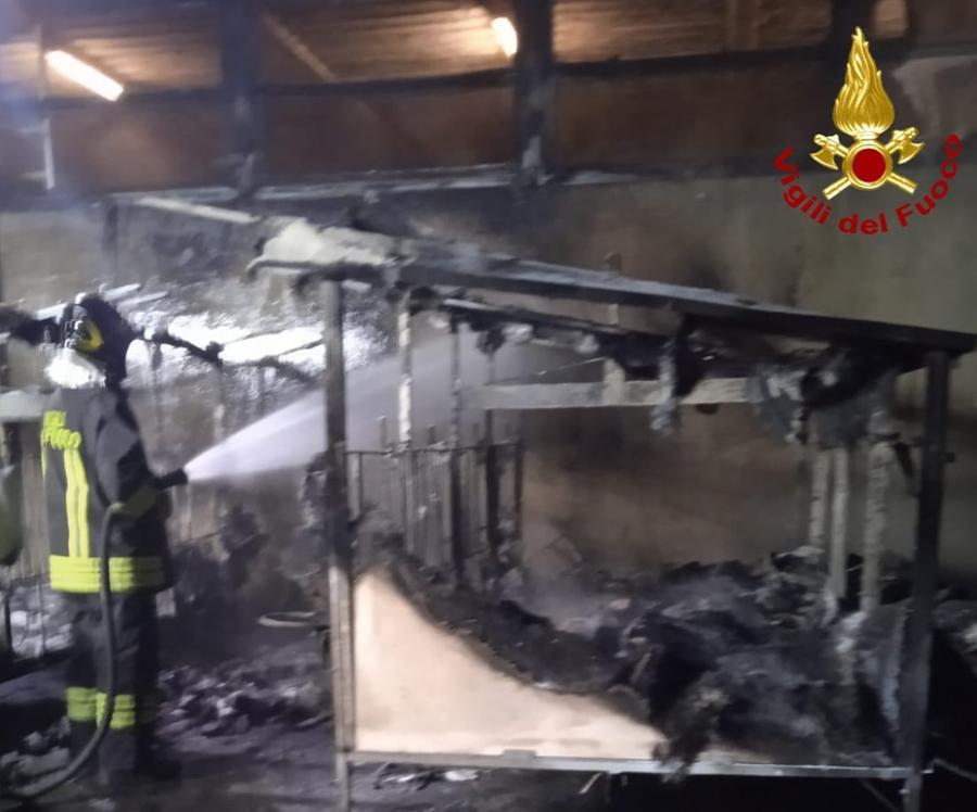 A fuoco una stalla, morti cinque vitelli