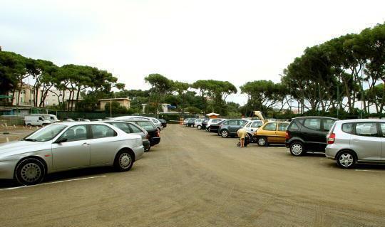 Castiglioncello, parcheggio in pineta: Marradi presentato il primo progetto
