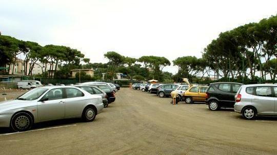 Castiglioncello, parcheggio in pineta: Marradi presentato il primo progetto