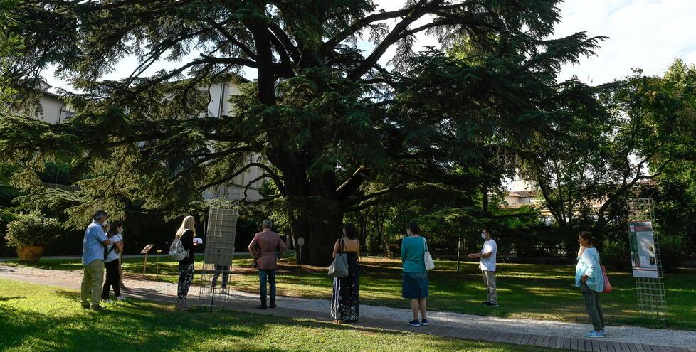 Comune, 27 assunzioni nel 2023: informatici e addetti all’Orto botanico